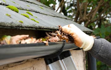 gutter cleaning West Leigh