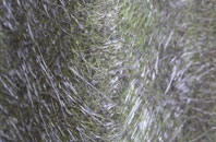 West Leigh fibreglass roof work